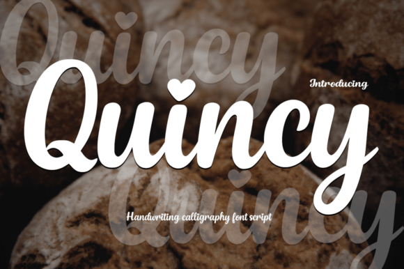 Download Quincy - Premium Bundle