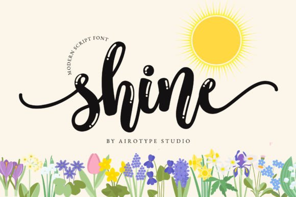 Download Shine - Premium Resources